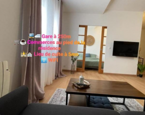 Charmant appartement plein centre 250m de la gare 30mn de Paris